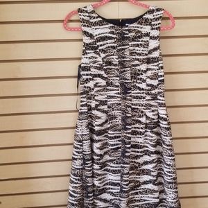Calvin Klein women's beautiful dress